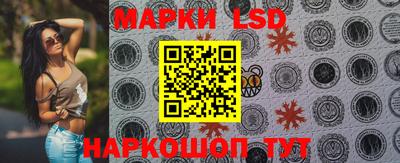 индика Кулебаки