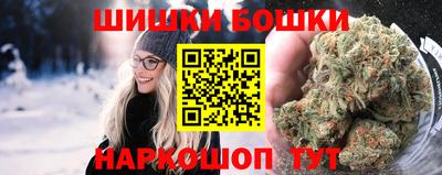 индика Кулебаки