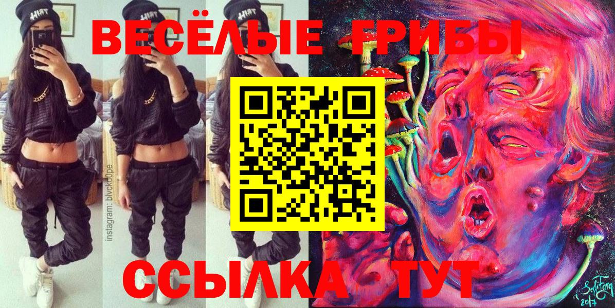 Вятские Поляны  купить   Галлюциногенные грибы Magic Shrooms  Вход с VPN  Галлюциногенные грибы Magic Shrooms 